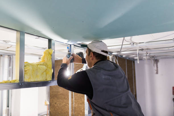 Best Insulation Replacement  in Whetstone, AZ