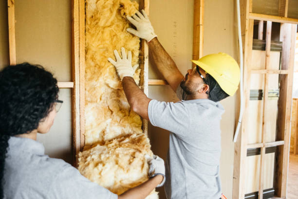 Best Insulation Air Sealing  in Whetstone, AZ