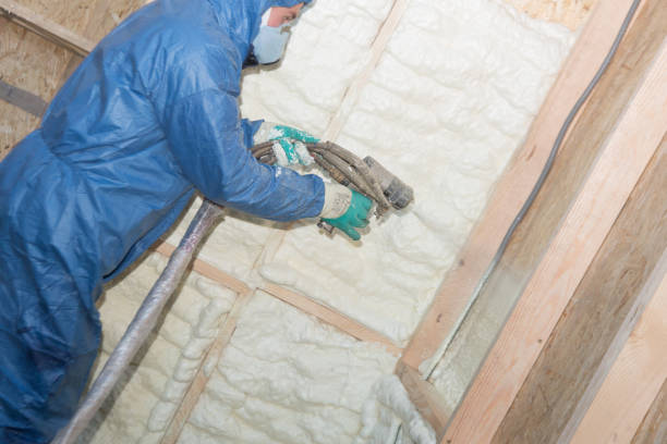 Best Radiant Barrier Insulation  in Whetstone, AZ